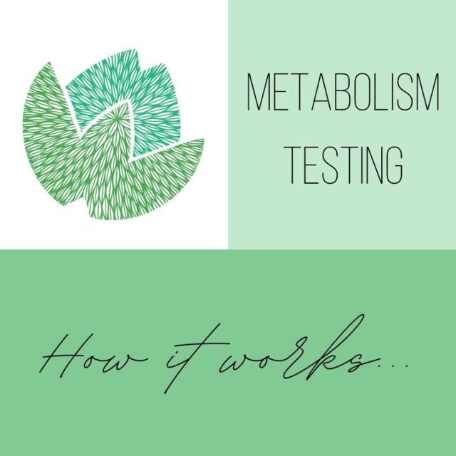 Why we use metabolism testing during our dietitian consultations 🧐 

✔️ The test provides information about your resting metabolic rate. 
✔️It shows us how efficiently your body burns fat, as well as showing us your metabolic efficiency.
✔️Test results are instant! Allowing us to align strategies during your consult, with how your body is functioning right now. 

Our goal is not to label your metabolism as “good” or “bad”, but to use objective data to guide smarter, more personalised care ❤️

Please see our video, on how the machine works and what to expect. 

If you have any further questions, please contact our amazing admin team on 08 6263 7778 ❤️
